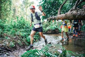 BIB: 
                            <button type="button" onclick="openModal(25475177)" class="btn btn-primary btn-sm float-right btn-popup" data-toggle="modal" data-target=".modal-high-quality">
                        <i class="fas fa-shopping-cart"></i> Add to Cart
                    </button>
                                            <button type="button" onclick="isThisMe(25475177, true)" class="btn btn-success btn-sm float-right btn-popup btn-isme hidden" data-toggle="tooltip" data-placement="bottom" title="นี่คือรูปของคุณใช่ไหม คลิกที่นี่เพื่อเอาเข้าอัลบั้ม">
                        <i class="fas fa-plus"></i> Add to album
                    </button>
                    <button type="button" onclick="isThisMe(25475177, false)" class="btn btn-warning btn-sm float-right btn-popup btn-isnotme hidden">
                        <i class="fas fa-ban"></i> Remove from album
                    </button>